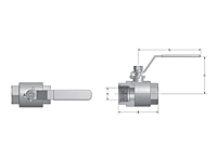 MV2B 2000 WOG Two-Way Stainless Steel Ball Valves - 2