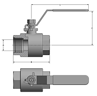 MV2B 2000 WOG Two-Way Stainless Steel Ball Valves - 3