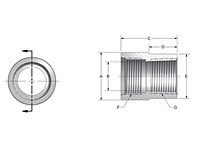 SAE to NPTF Full Couplings