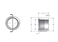 SAE Half Couplings