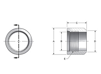 SAE Bevel Half Couplings