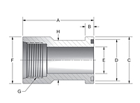 CD61 NPTF Thread to Flange Head Adapters