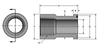 CD61 NPTF Thread to Flange Head Adapters