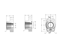 CD61/CD62 NPTF 4-Bolt Flanges