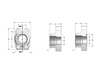 CD61/CD62 BSPP Thread 4-Bolt Flanges