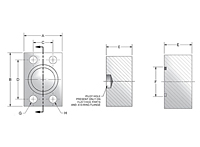 CD61/CD62 Blanking 4-Bolt Stainless Steel Flanges
