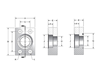 CD61/CD62 Flat Socket 4-Bolt Stainless Steel Flanges