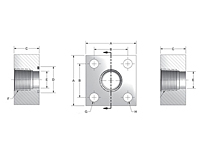 3000 Series NPTF Thread Square 4-Bolt Stainless Steel Flanges