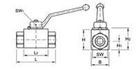AE2 Series Carbon Steel Two-Way Block Body Threaded Ball Valves - 2