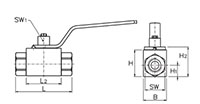 AE2 Series 316 Stainless Steel Two-Way Block Body Threaded Ball Valves - 2