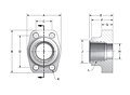 CD61 NPTF Tank Pilot 4-Bolt Flanges