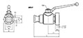 AES/F Series Flange Head X Flat-Face Ball Vales - 2
